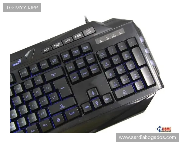 探索K8电玩大全丰富游戏库带你畅享高品质娱乐体验尽在指尖